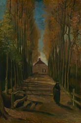 Laan van populieren in de herfst